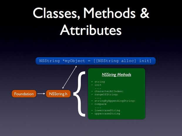 objectivec20anintropt2006